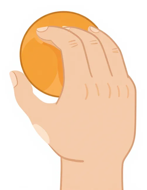 Illustration : Une main tient une balle souple dans la paume, les doigts arrondis autour en forme de « C », le pouce appuie doucement sur la balle