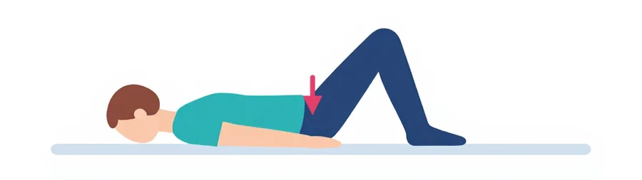 Illustration : allongé sur le dos, genoux pliés, on plaque le bas du dos au sol.