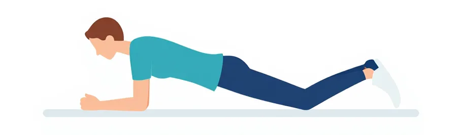 Illustration : en appui sur les avant-bras et les genoux, dos droit.