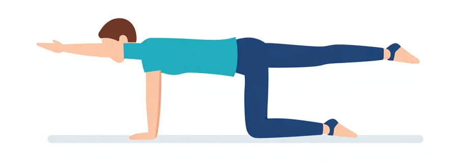 Illustration : À quatre pattes, dos plat, un bras tendu vers l’avant et la jambe opposée tendue vers l’arrière, à l’horizontale